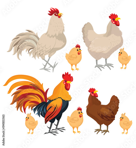 PrintCartoon rooster and chicken farm birds vector illustration set isolated on background