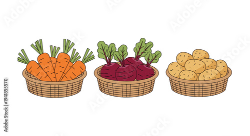 Three distinct wicker baskets, filled with fresh orange carrots, vibrant red beets, and earthy brown potatoes, are arranged horizontally on a white background.