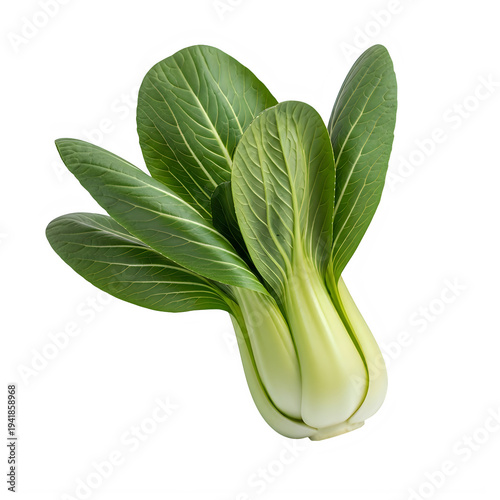 Fresh bunch of leafy green bok choy vegetable with vibrant leaves
