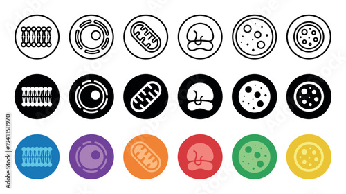 Various biological cell organelles and membrane icons are clearly displayed in a grid, featuring outline, solid black, and colorful representations for scientific illustration
