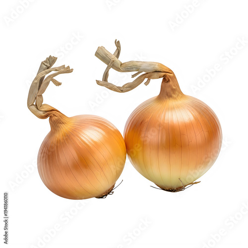 onion on white background