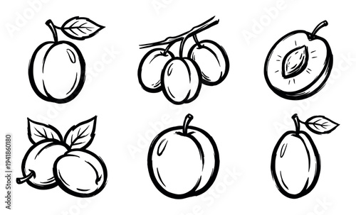 Set of six hand-drawn plum illustrations in a black ink sketch style, showing whole fruit, a half with a pit, and plums on a branch with leaves in a minimalist design