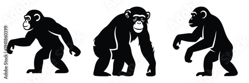 chimpanzee silhouette icon set. Animals logos collection and isolated on White background