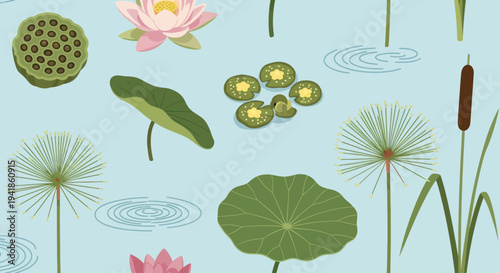 Water Lilies and Aquatic Plants Illustration.