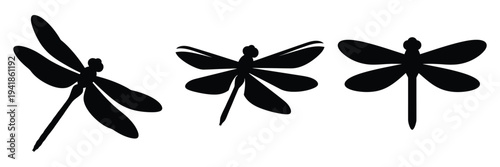 dragonfly silhouette icon set. Animals logos collection and isolated on White background