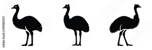 Quadro su tela emu silhouette icon set