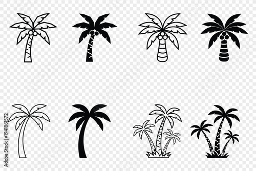 Collection of diverse palm tree icons in black and white line art and solid silhouettes isolated on transparent background