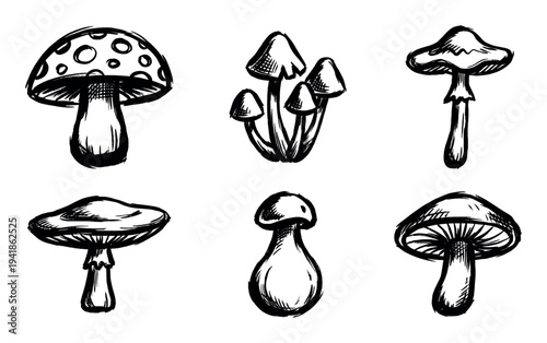 Six hand-drawn black ink mushroom sketches in a rough doodle style showing various types of fungi with bold brushstrokes and simple graphic outlines for a natural design element