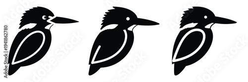 kingfisher silhouette icon set. Animals logos collection and isolated on White background