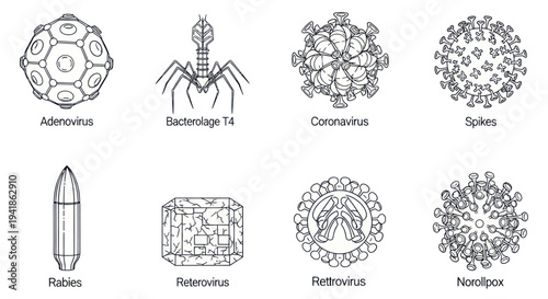 Virus and Bacteria Illustrations.