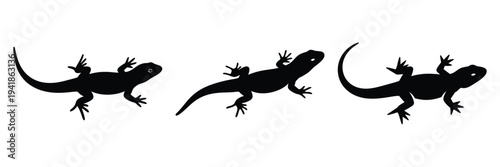 lizard silhouette icon set. Animals logos collection and isolated on White background