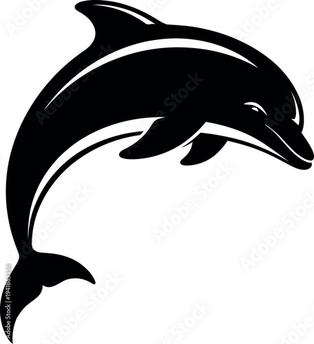 Black dolphin jumping out of water swimming mammal