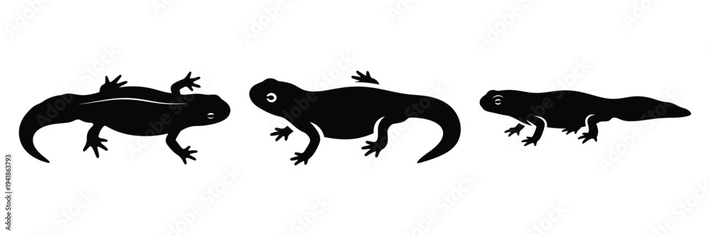 Obraz premium newt silhouette icon set. Animals logos collection and isolated on White background