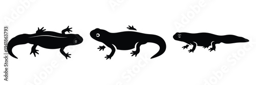 newt silhouette icon set. Animals logos collection and isolated on White background