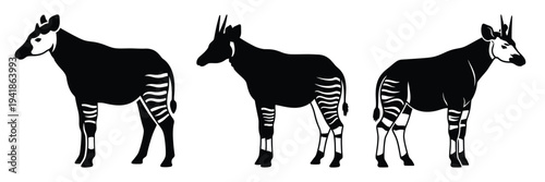 Картината върху платно okapi silhouette icon set