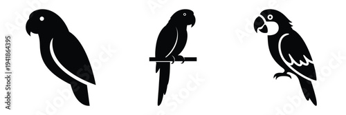 parrot silhouette icon set. Animals logos collection and isolated on White background
