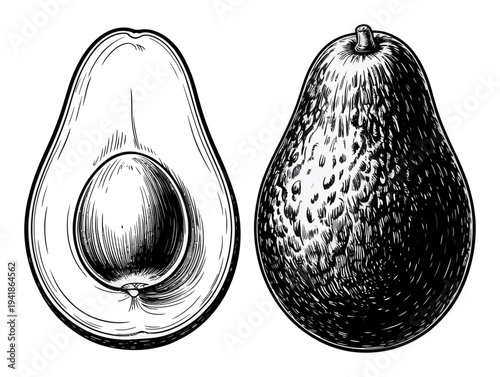Vintage of a whole avocado and a halved avocado with pit