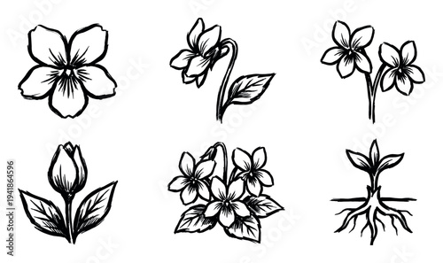 Various hand-drawn black and white floral illustrations depict different stages of plant life, from a single bloom and a closed bud to a rooted seedling, rendered with expressive brushstrokes