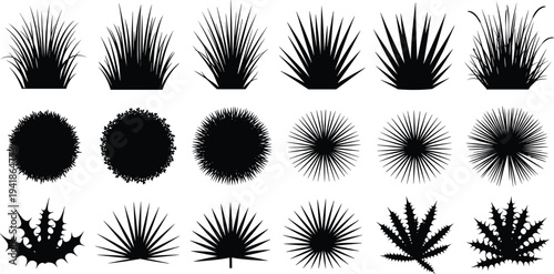 Grass, bush and agave plant silhouettes collection, black botanical nature elements set for landscape design vector illustration