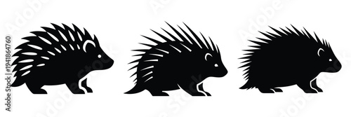 porcupine silhouette icon set. Animals logos collection and isolated on White background
