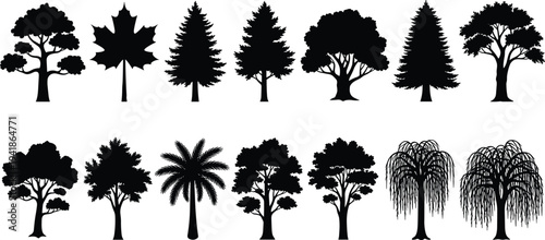 Tree Silhouette Collection Featuring Deciduous, Conifer and Palm Trees, Black Nature Icons Isolated on White Background
