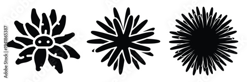 Foto sea anemone silhouette icon set