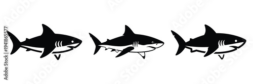 shark silhouette icon set. Animals logos collection and isolated on White background