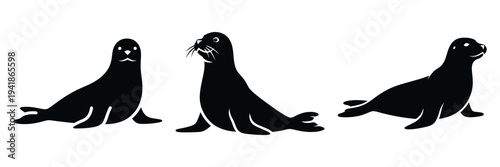 seal silhouette icon set. Animals logos collection and isolated on White background