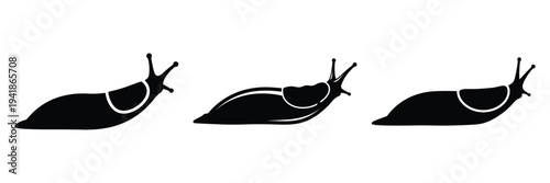 slug silhouette icon set. Animals logos collection and isolated on White background