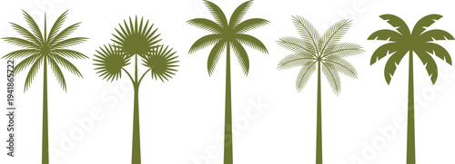 Tropical palm trees silhouette set, different exotic palm tree shapes isolated, botanical summer nature vector illustration collection
