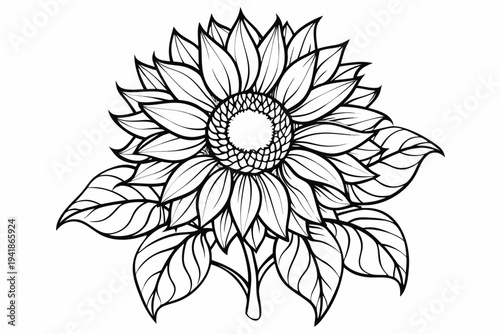 coloring page line art the sunflower flower black vector