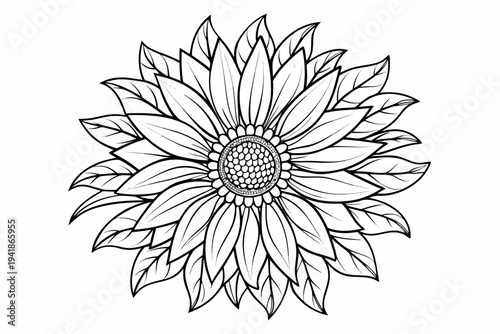 coloring page line art the sunflower flower black vector