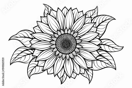 coloring page line art the sunflower flower black vector