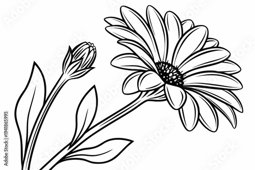 coloring page line art the sunflower flower black vector