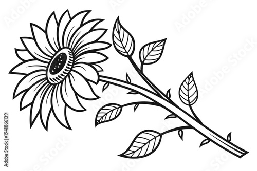 coloring page line art the sunflower flower black vector