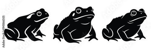 toad silhouette icon set. Animals logos collection and isolated on White background