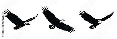 vulture silhouette icon set. Animals logos collection and isolated on White background