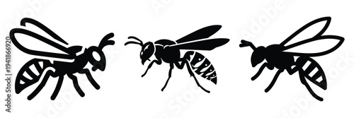 wasp silhouette icon set. Animals logos collection and isolated on White background