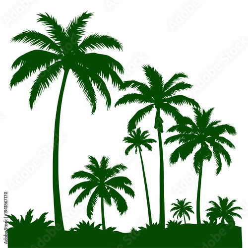 Green tropical palm trees landscape isolated on transparent background, exotic island beach nature scene, vector illustration