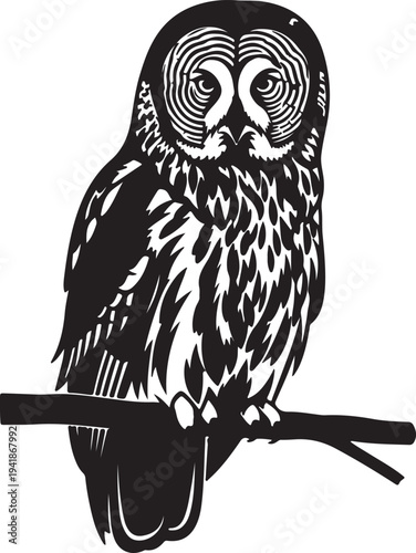 Black and white illustration of an owl perched on a branch bird