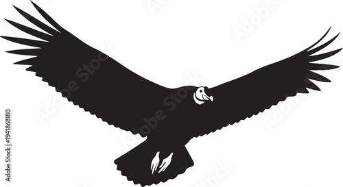 Black silhouette of an eagle with wings spread wide on white background bird of prey