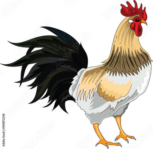 PrinCartoon rooster and chicken farm birds vector illustration set isolated on backgroundt