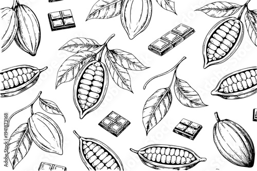 Hand Drawn Cocoa Pods And Chocolate Bars Seamless Pattern White Background bean cacao
