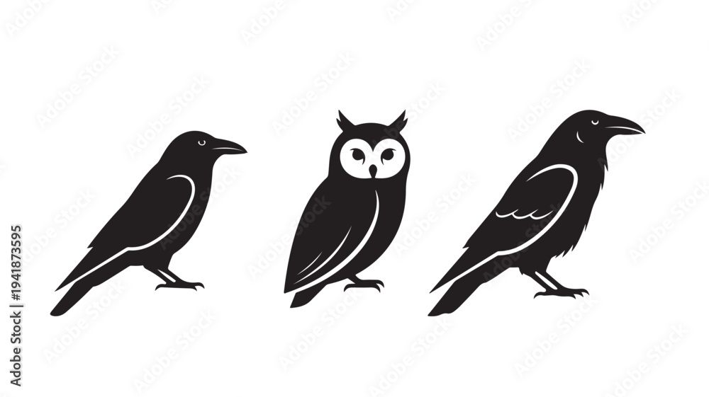 Obraz premium Black Birds Silhouette with Owl on White Background
