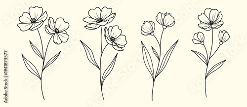 Botanical illustration of four similar flowers with leaves on a plain background