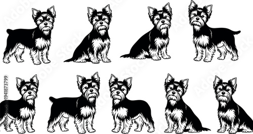 Black and white German Shepherd head sketch set with patriotic American flag sunglasses isolated on white background for pet designBlack and white German Shepherd head sketch