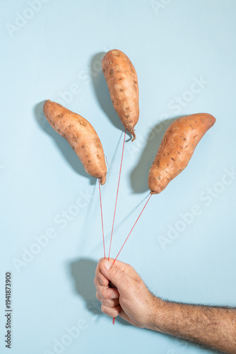 Creative concept of hand holding three sweet potatoes as floating balloons on red strings against blue background.