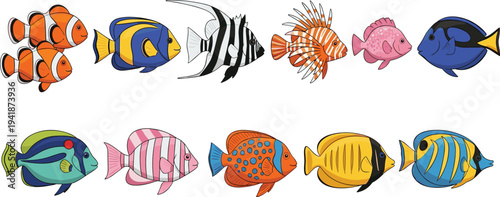 Colorful Tropical Aquarium Fish Vector Set with Exotic Marine Fish Illustrations for Ocean Wildlife Design, Underwater Nature Graphics and Aquarium Education.