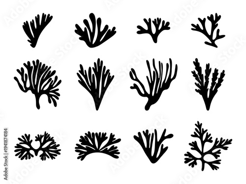 Minimal black seaweed silhouette set with organic coral shapes. Marine botanical icons inspired by underwater plants arranged. Ocean themed illustration for design, pattern, logo