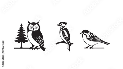 Owl, Woodpecker, and Sparrow Birds Silhouettes on Branches